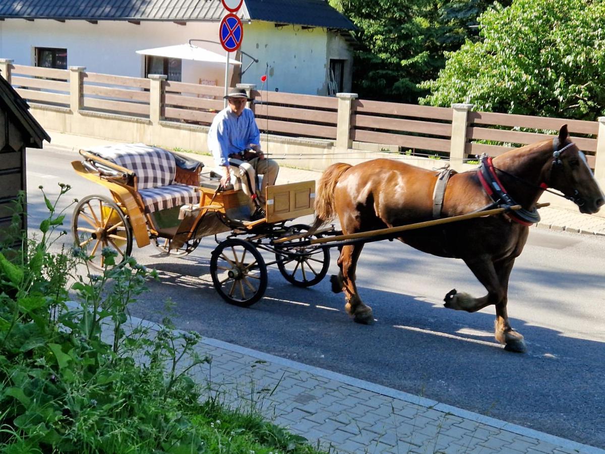 Willa Pod Piorem Zakopane Buitenkant foto